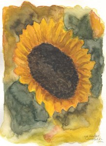 sunflowerfinal