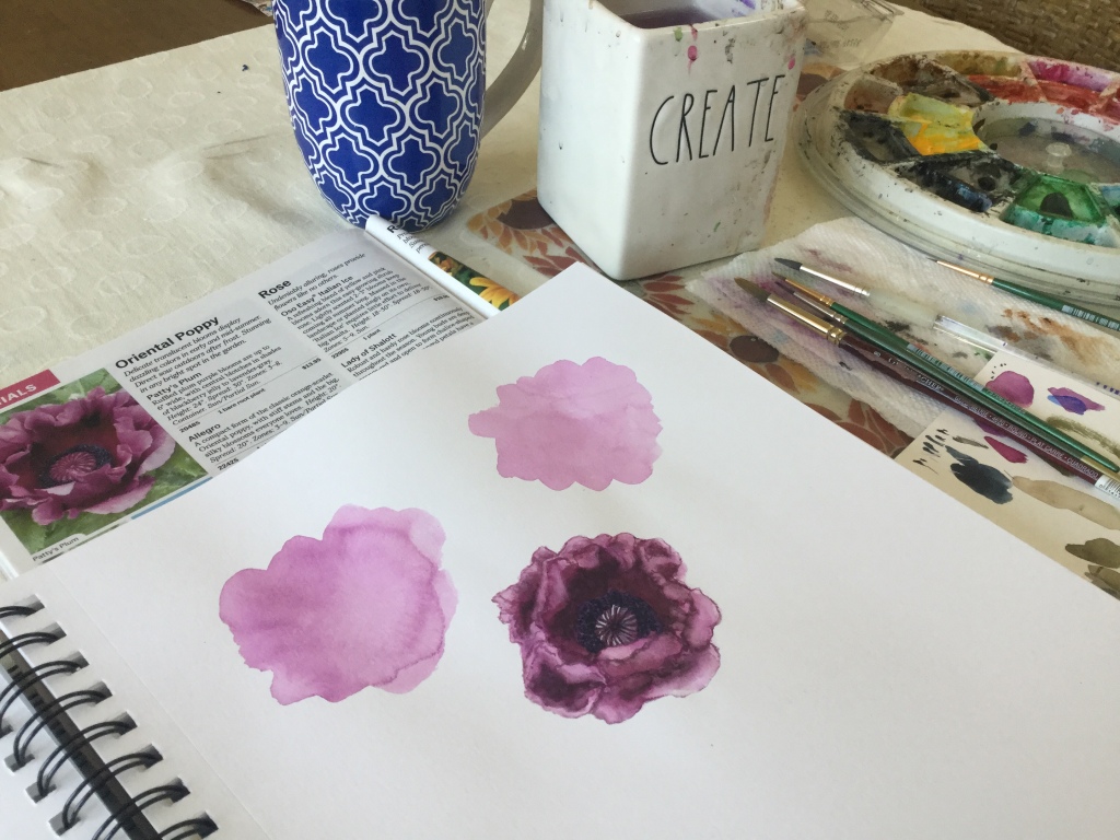Watercolor poppies 
